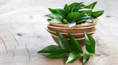 garnishing-instructions-image